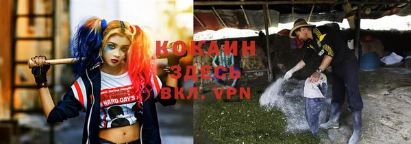 бошки Абаза