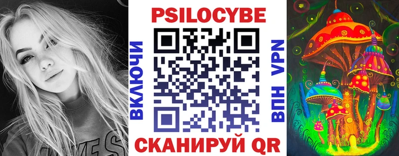 как найти   Петушки  Галлюциногенные грибы Psilocybe 